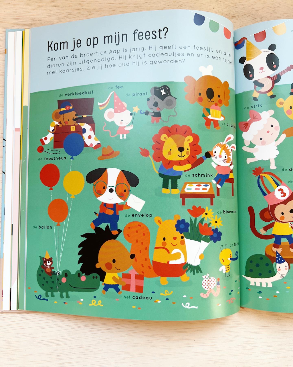 Mijn eerste woordjes - Boek