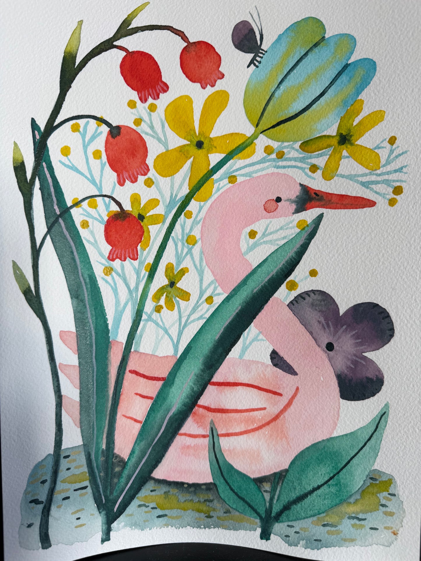 Aquarelle - Swan