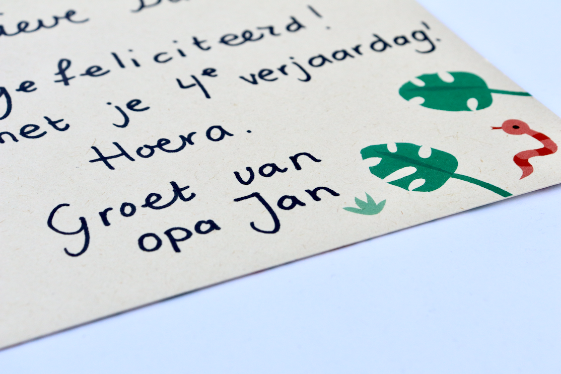 Krokodil - Veel plezier op je verjaardag - gevouwen wenskaart met envelop